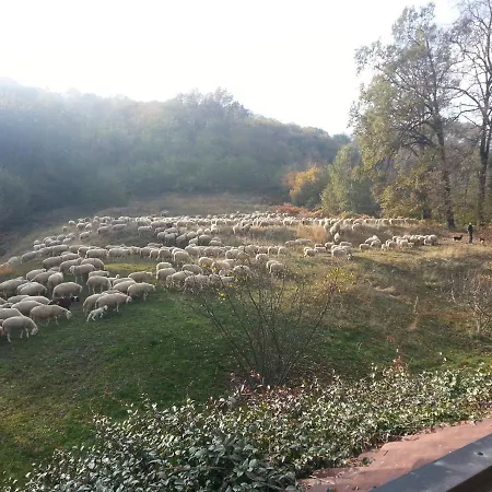 Antica Cascina Del Medico Guest house Muzzano
