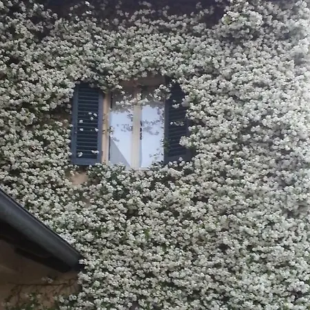 Antica Cascina Del Medico