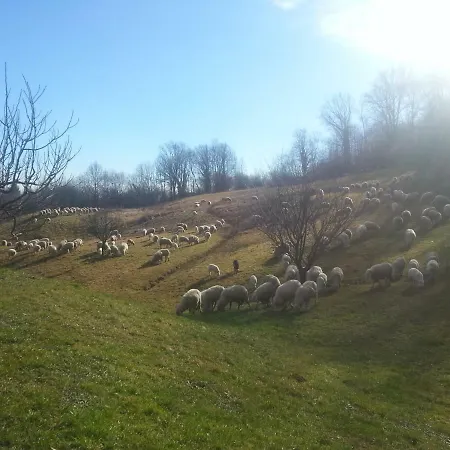 Antica Cascina Del Medico *